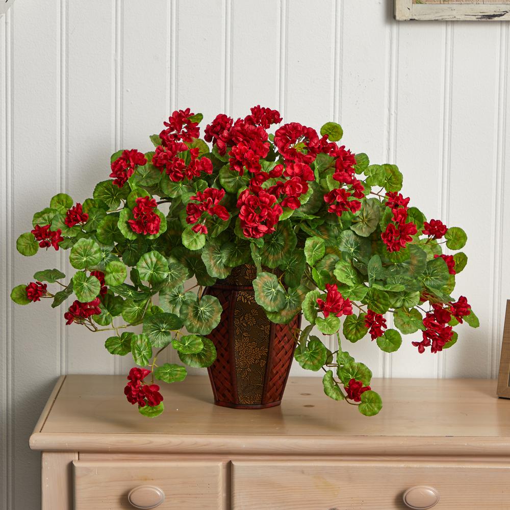 Geranium with Decorative Planter. Picture 2