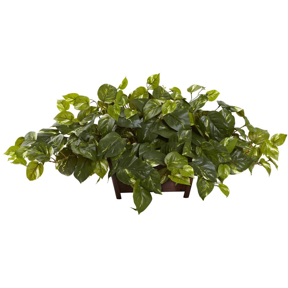 Pothos with Rectangle Decorative Planter. Picture 1