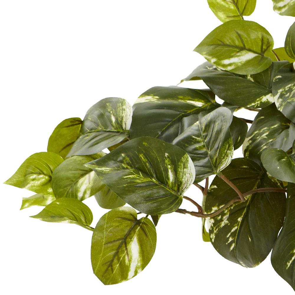 Pothos with Rectangle Decorative Planter. Picture 5