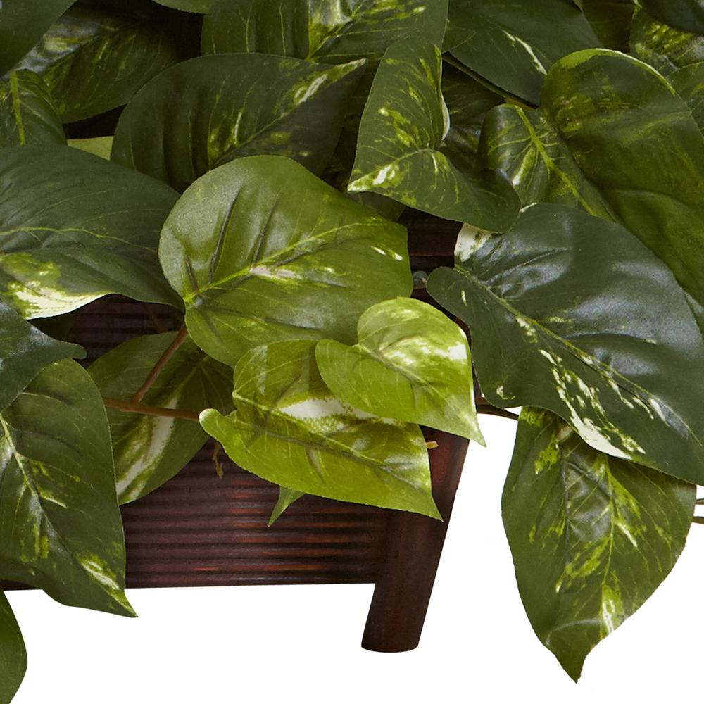 Pothos with Rectangle Decorative Planter. Picture 4