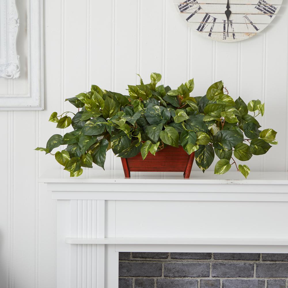 Pothos with Rectangle Decorative Planter. Picture 3
