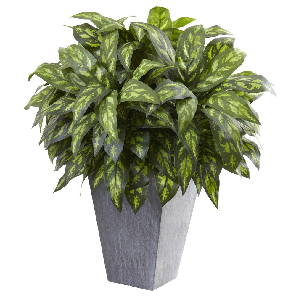 Silver King with Slate Planter. Picture 1