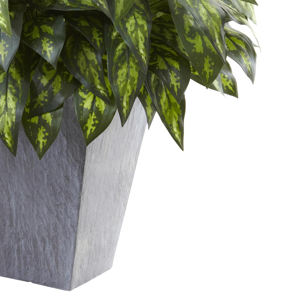 Silver King with Slate Planter. Picture 2