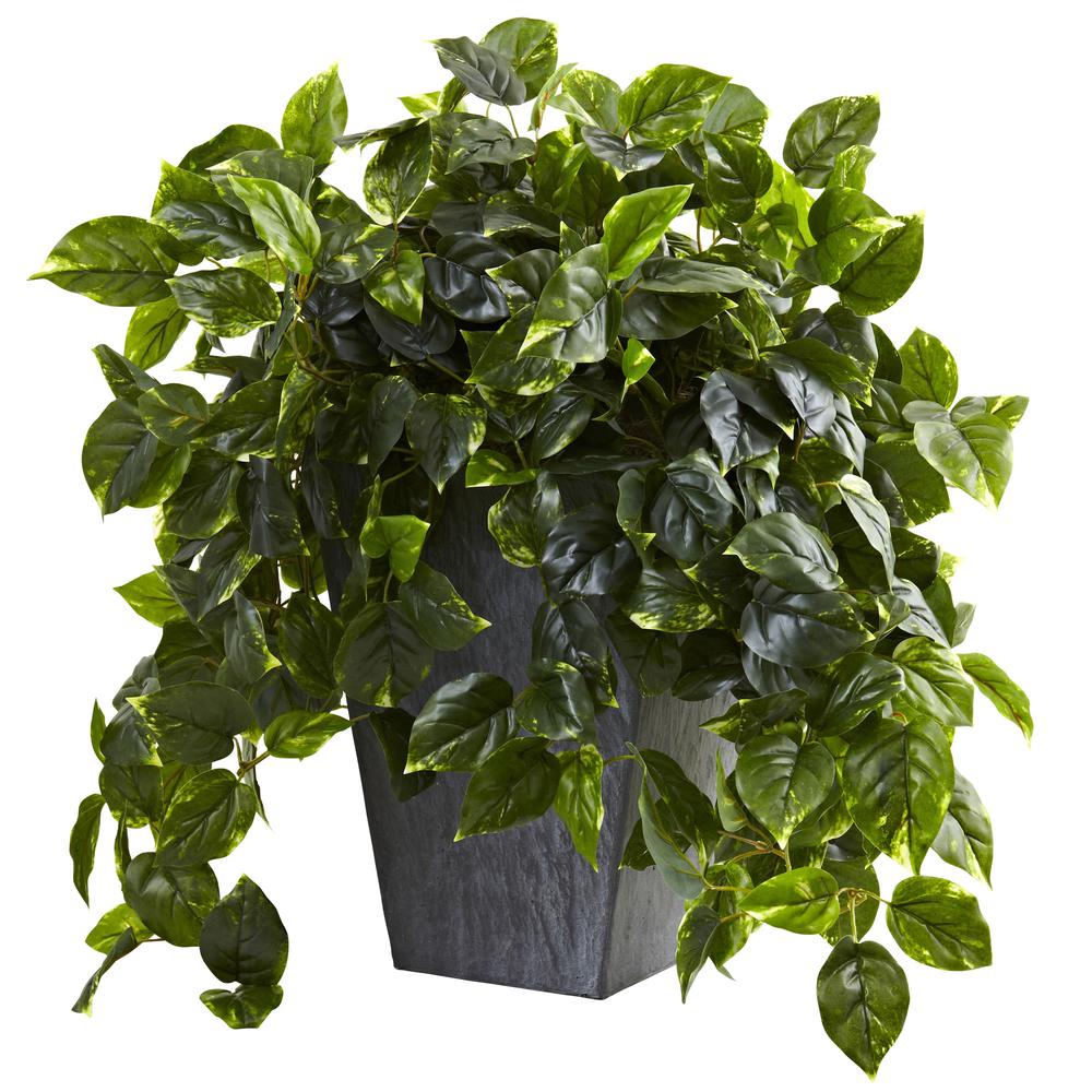 Hanging Pothos with Slate Planter UV Resistant (Indoor/Outdoor). Picture 1