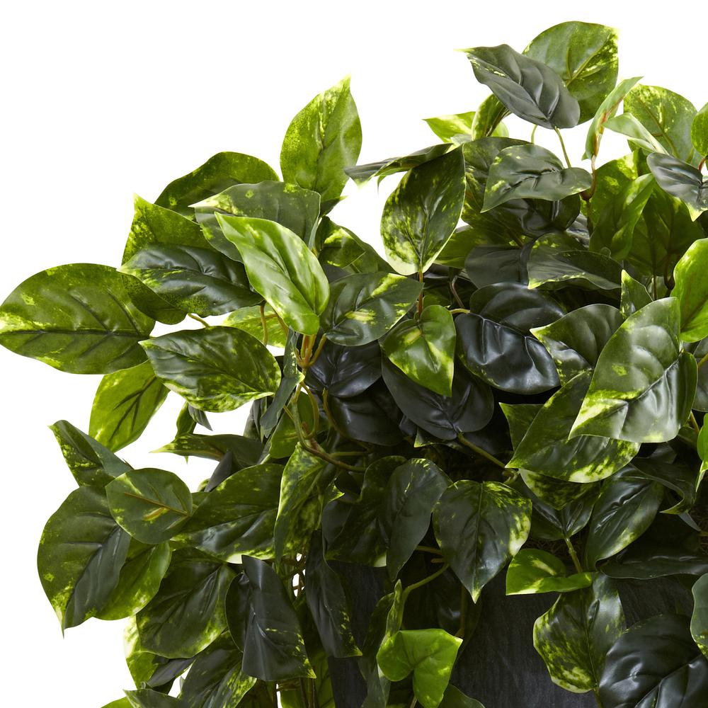 Hanging Pothos with Slate Planter UV Resistant (Indoor/Outdoor). Picture 7