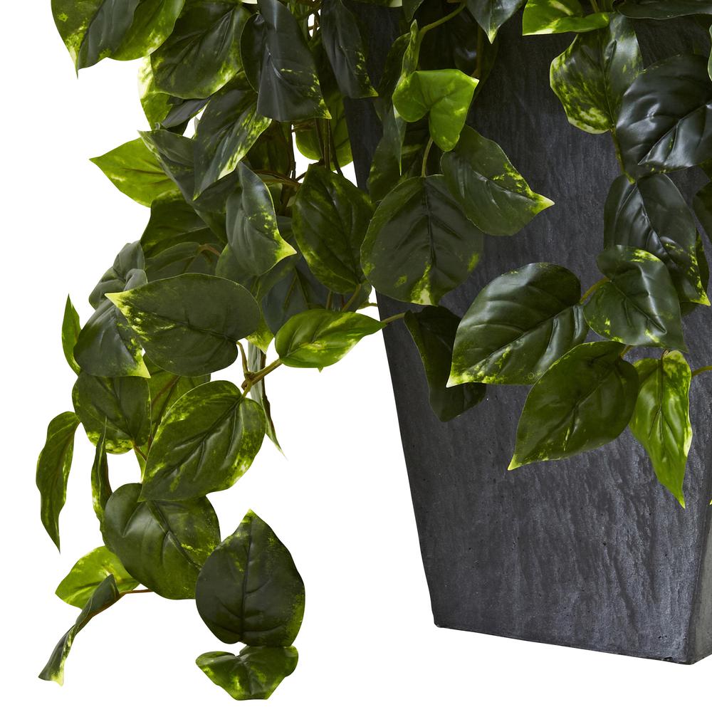 Hanging Pothos with Slate Planter UV Resistant (Indoor/Outdoor). Picture 6