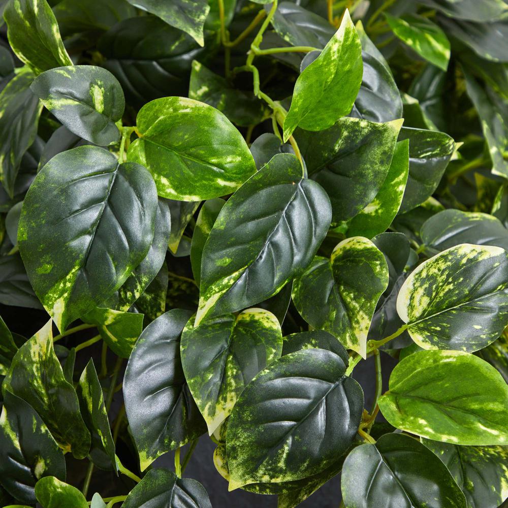 Hanging Pothos with Slate Planter UV Resistant (Indoor/Outdoor). Picture 4