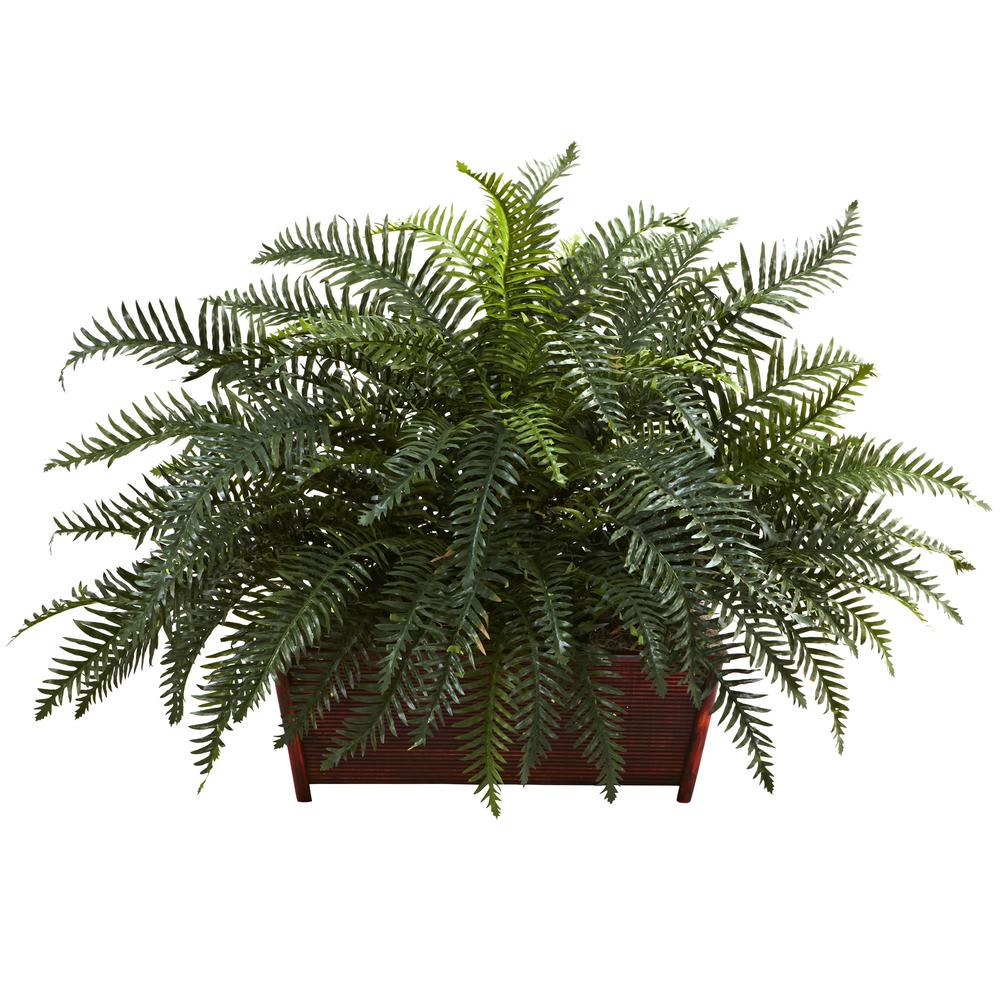 River Fern with Wood Planter. Picture 1