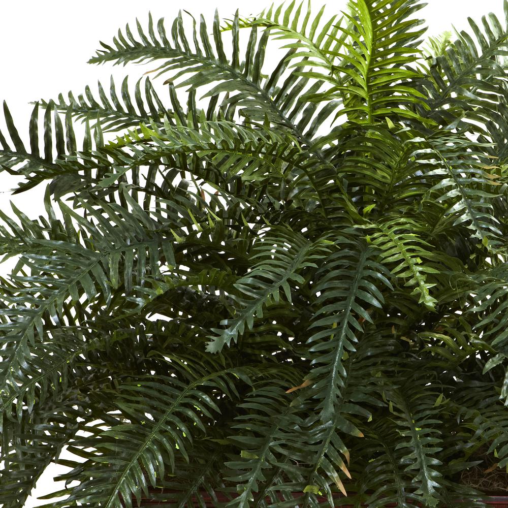 River Fern with Wood Planter. Picture 2
