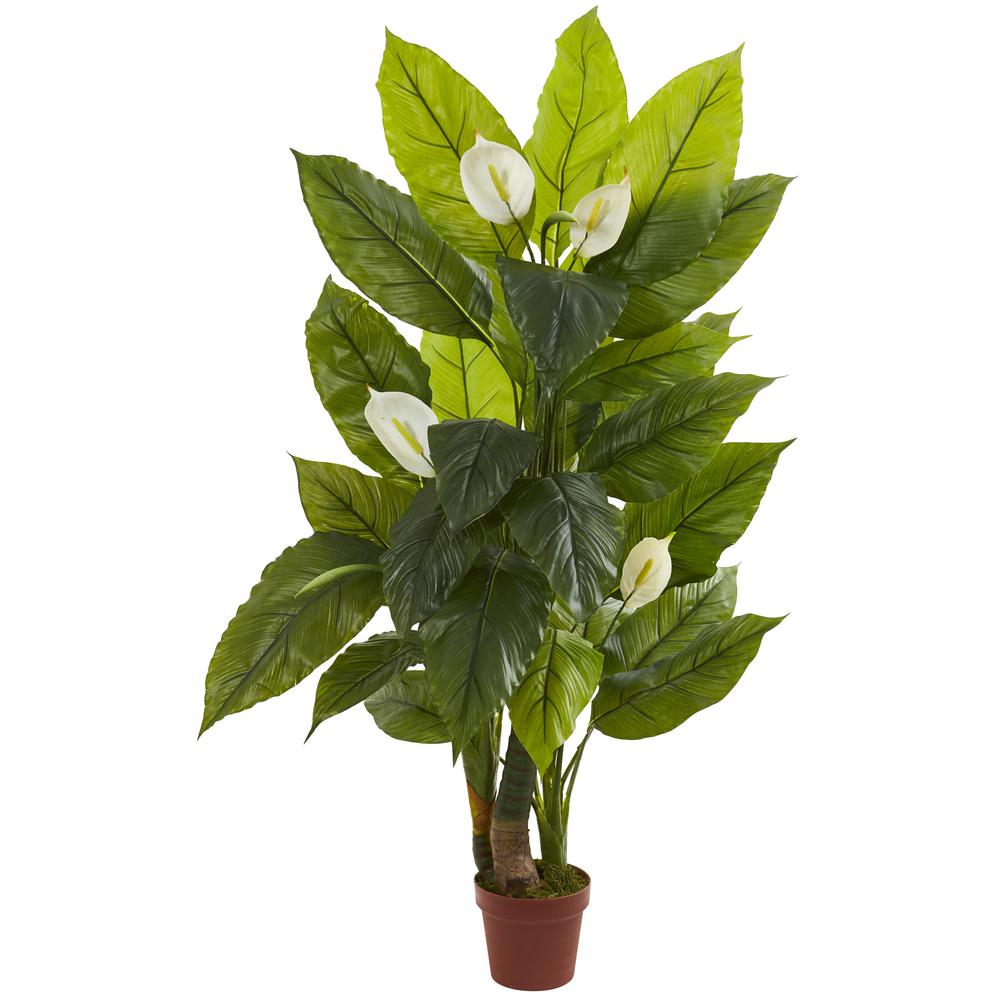 4.5ft. Spathiphyllum Plant (Real Touch). Picture 1