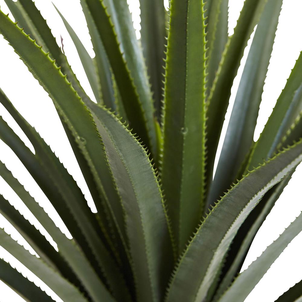 4ft. Spiked Agave Plant. Picture 2