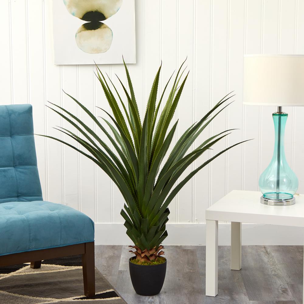 4ft. Spiked Agave Plant. Picture 7