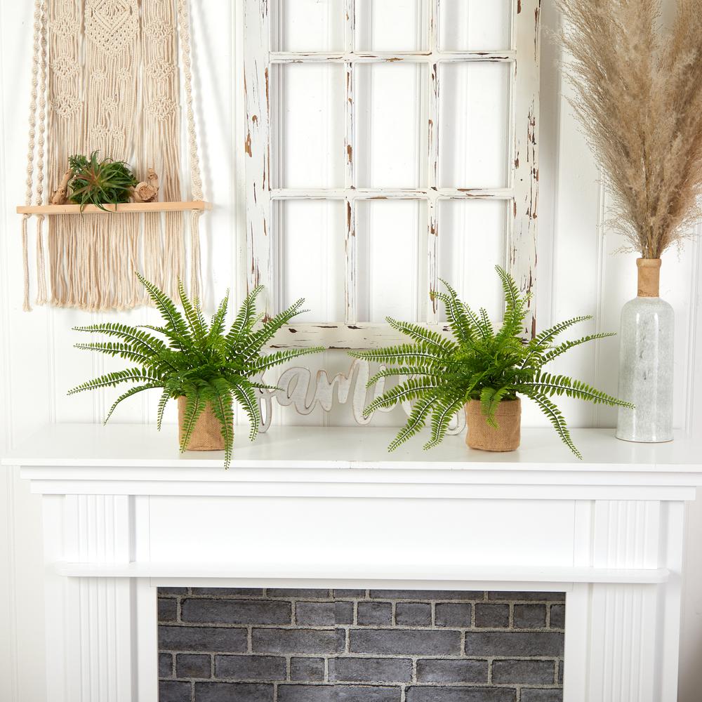 Boston Fern with Burlap Planter (Set of 2). Picture 3