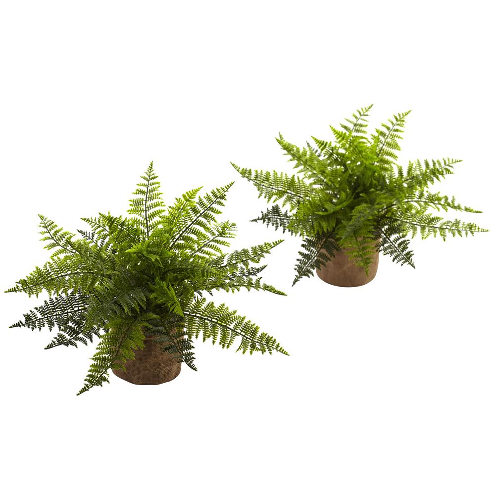 15in. Ruffle Fern Bush with Burlap Base (Set of 2). Picture 1