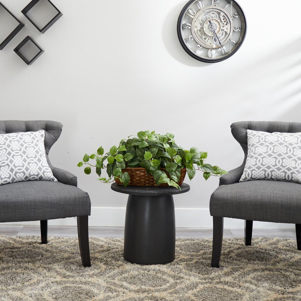 Pothos with Ledge Basket. Picture 2
