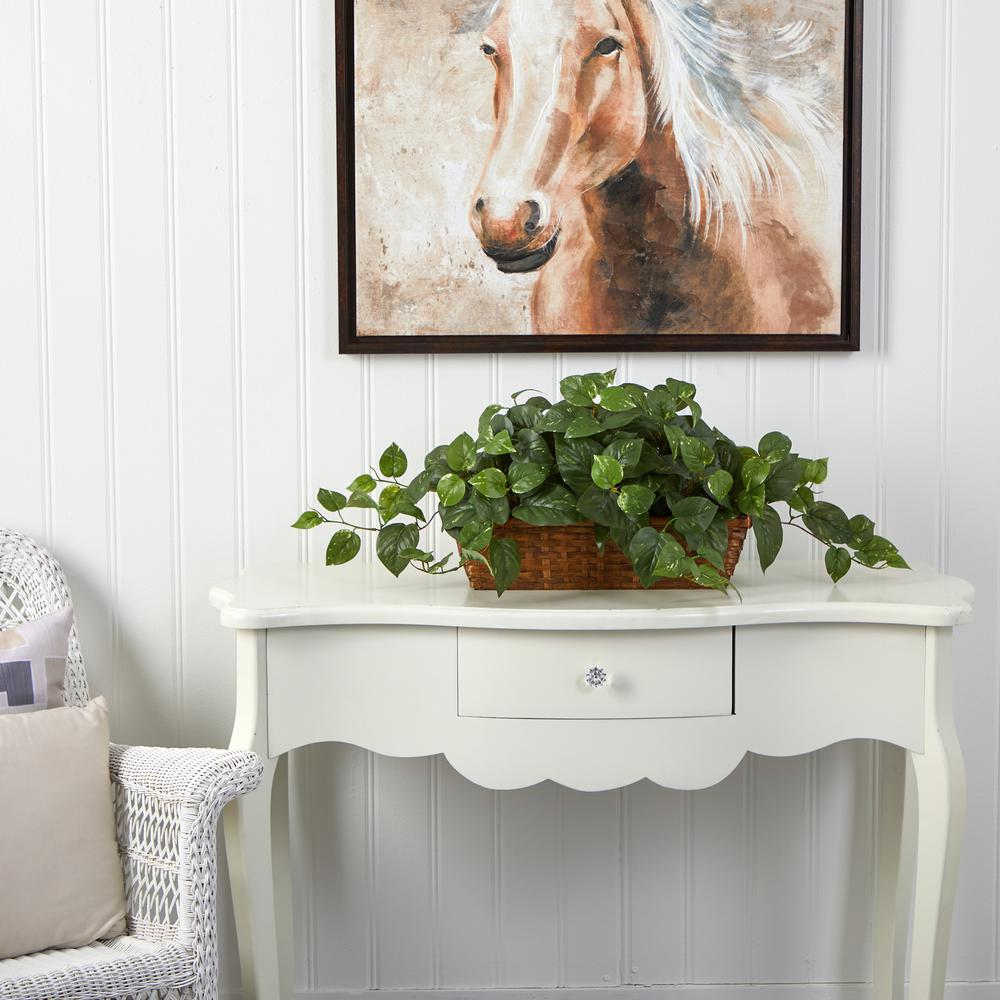 Pothos with Ledge Basket. Picture 3