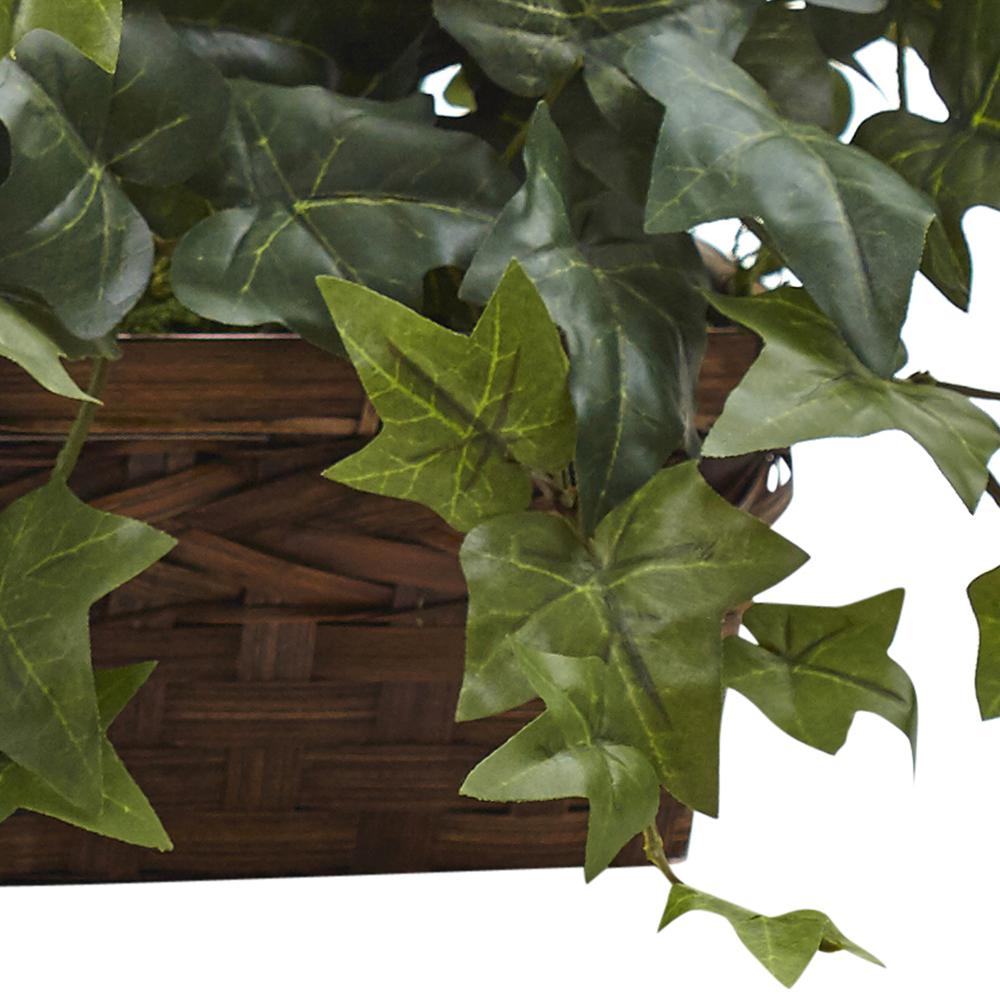 Puff Ivy with Ledge Basket. Picture 4