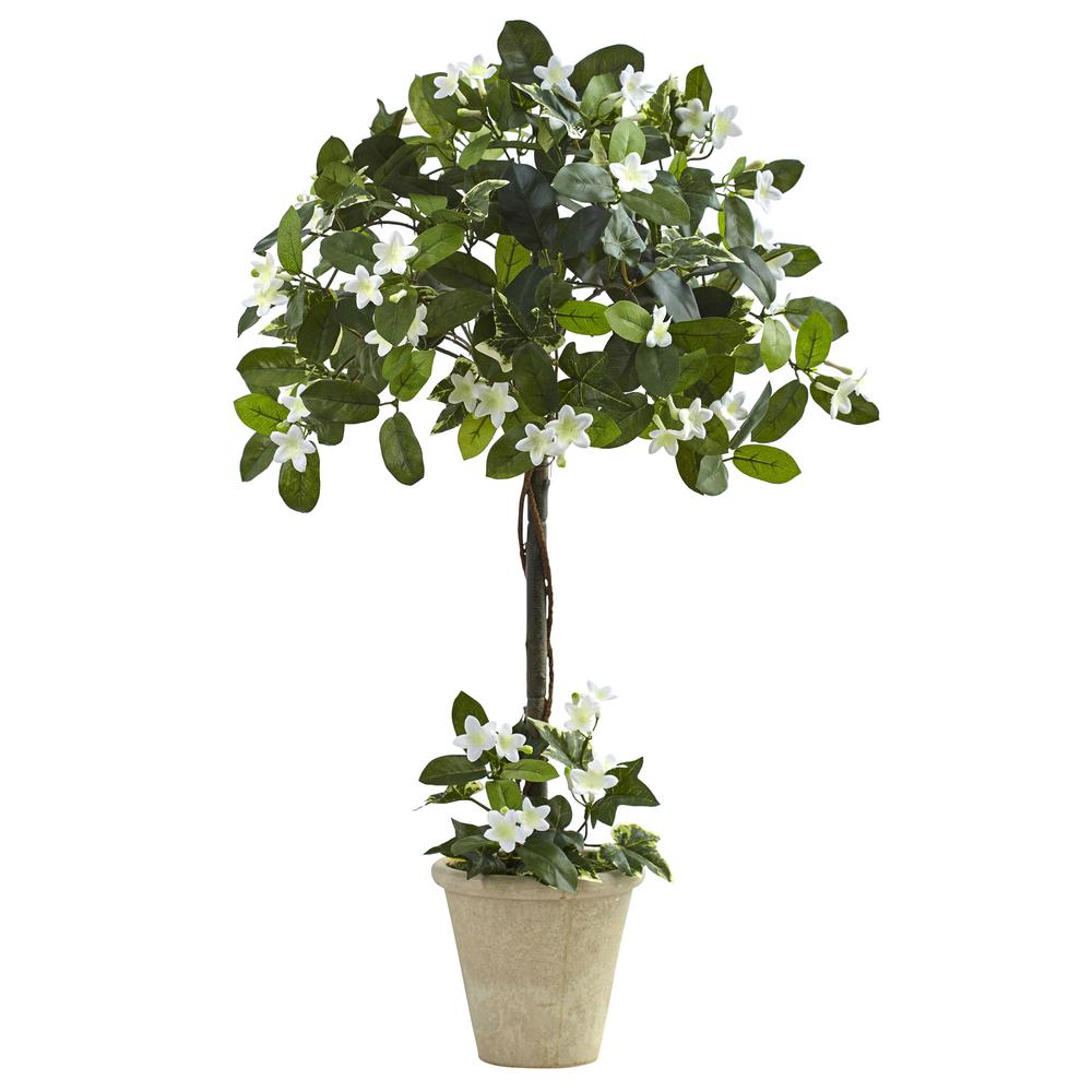 3ft. Stephanotis Topiary with Planter. Picture 1