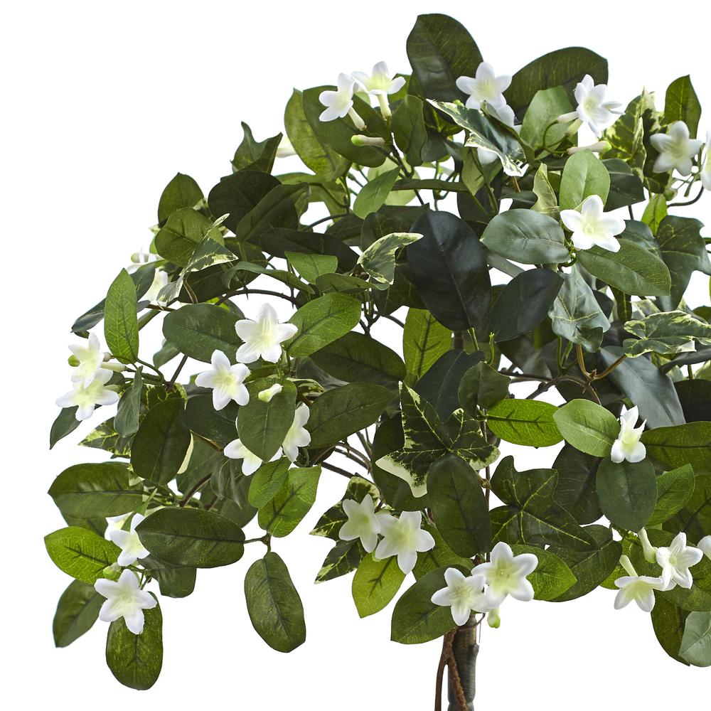3ft. Stephanotis Topiary with Planter. Picture 3