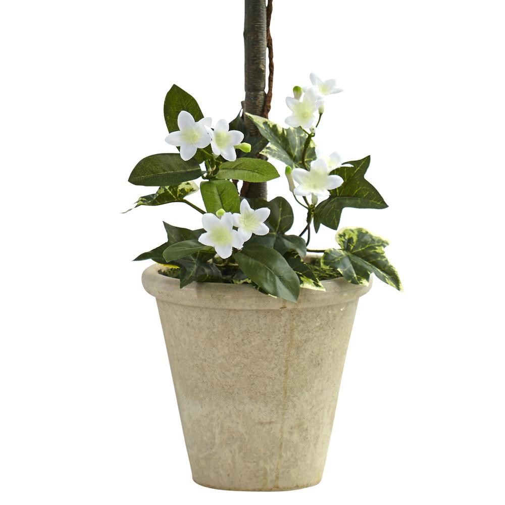 3ft. Stephanotis Topiary with Planter. Picture 2