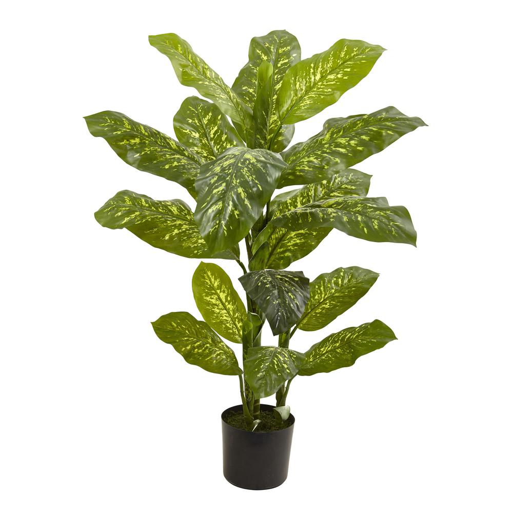 4ft. Dieffenbachia Plant (Real Touch). Picture 1