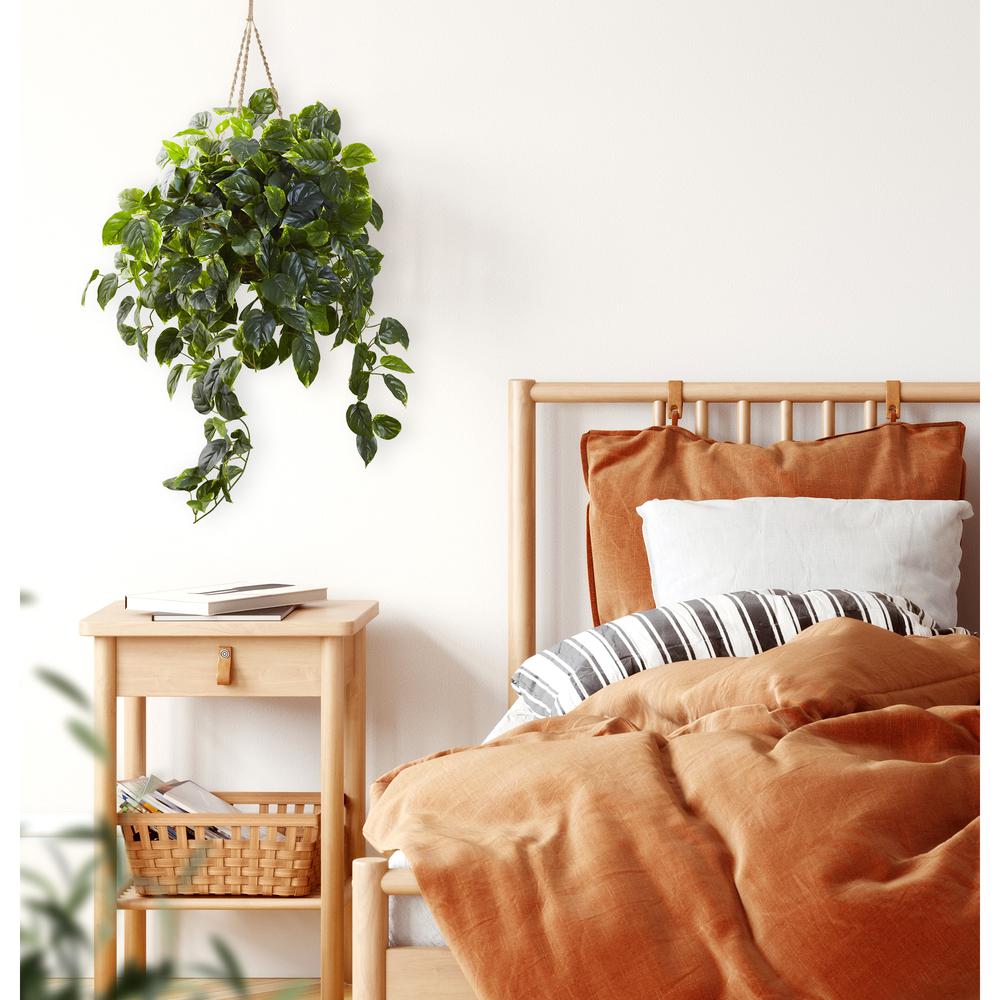 Pothos Hanging Basket UV Resistant (Indoor/Outdoor). Picture 3