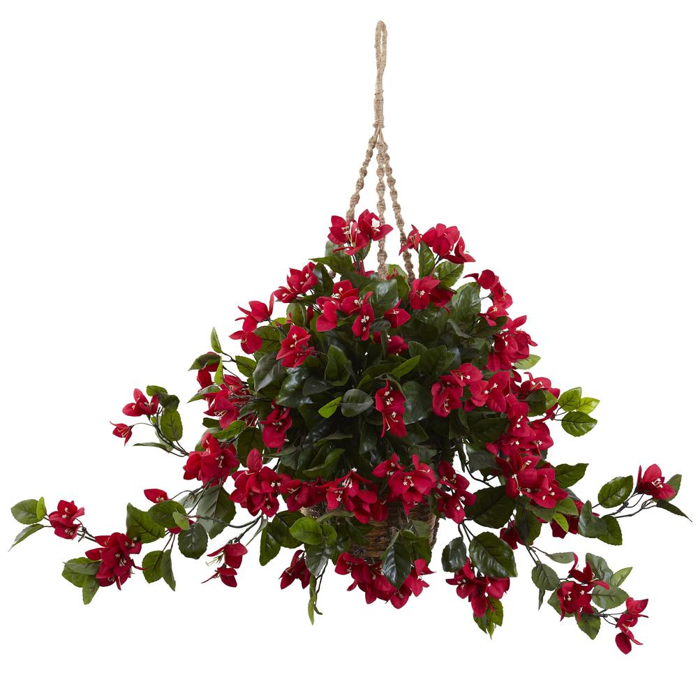 Bougainvillea Hanging Basket UV Resistant (Indoor/Outdoor). Picture 1
