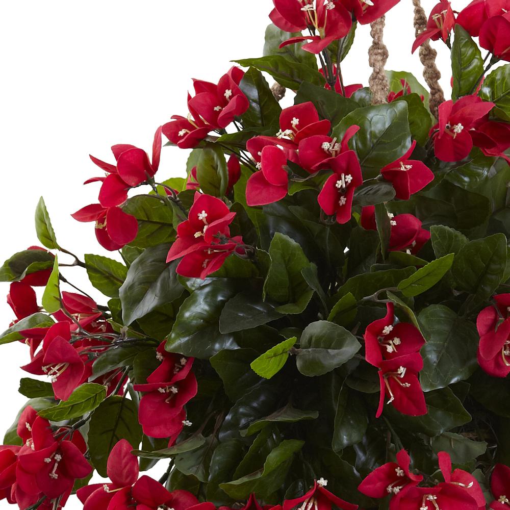Bougainvillea Hanging Basket UV Resistant (Indoor/Outdoor). Picture 5