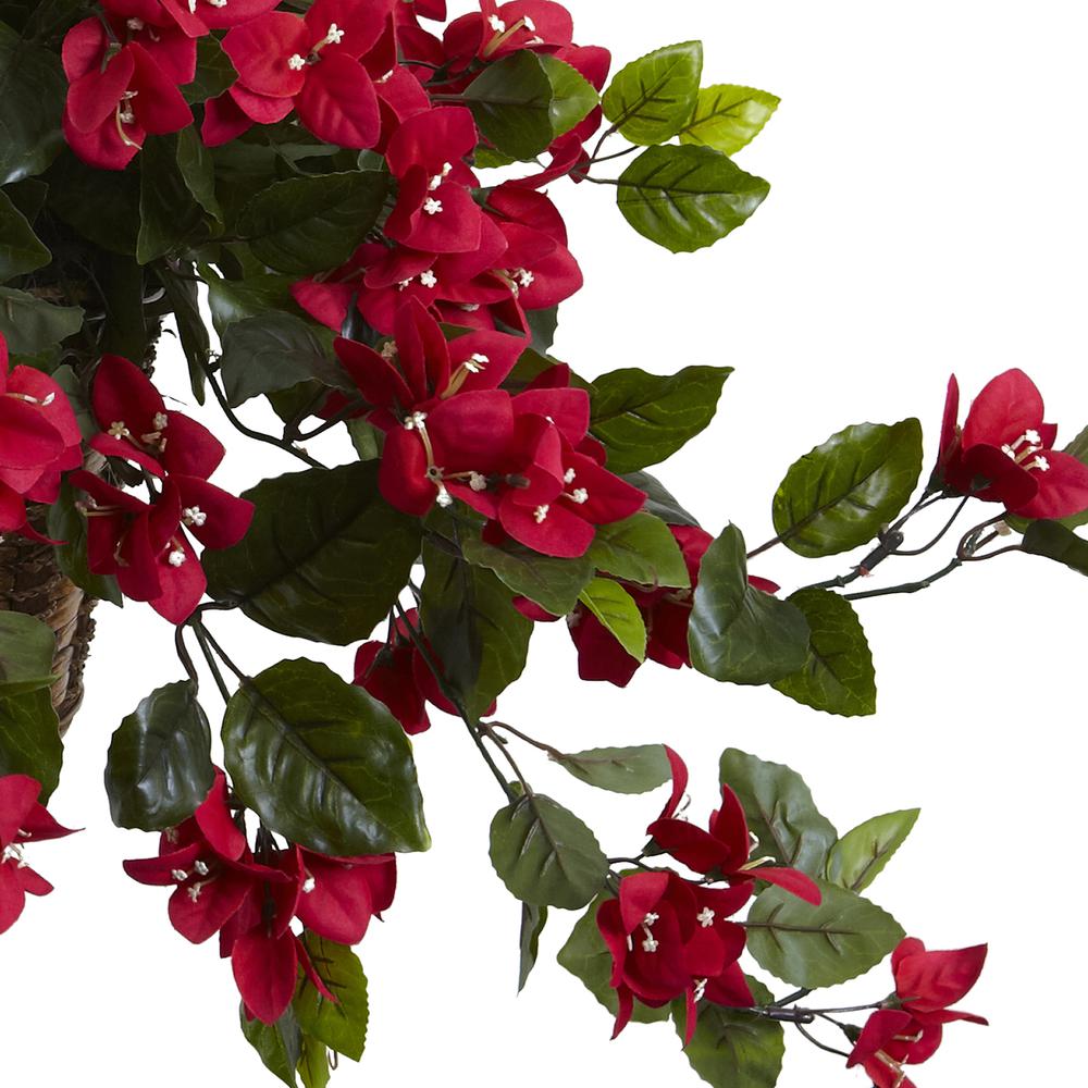 Bougainvillea Hanging Basket UV Resistant (Indoor/Outdoor). Picture 3