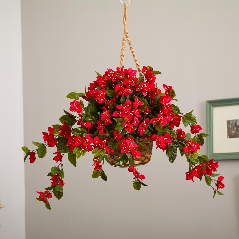 Bougainvillea Hanging Basket UV Resistant (Indoor/Outdoor). Picture 4