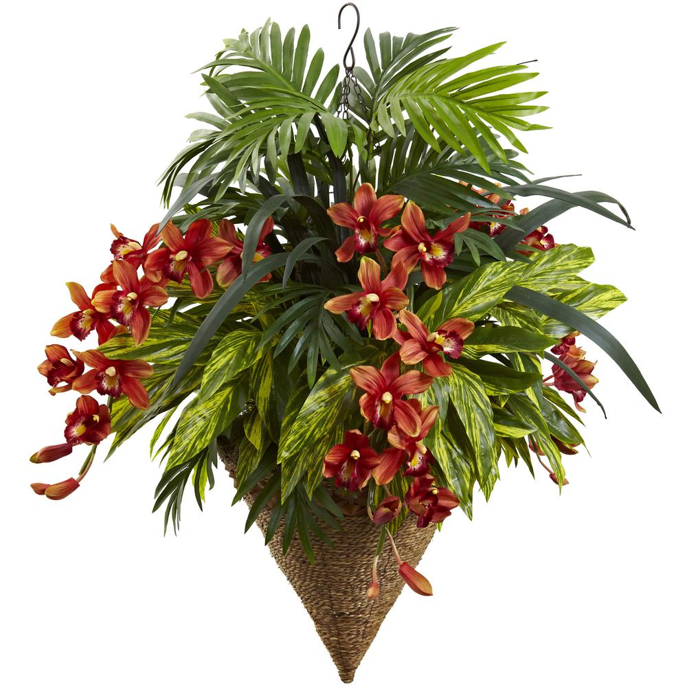 Mixed Tropical & Cymbidium Hanging Basket. Picture 1