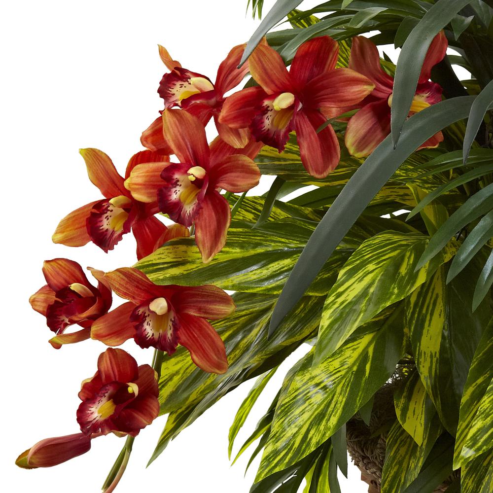 Mixed Tropical & Cymbidium Hanging Basket. Picture 3