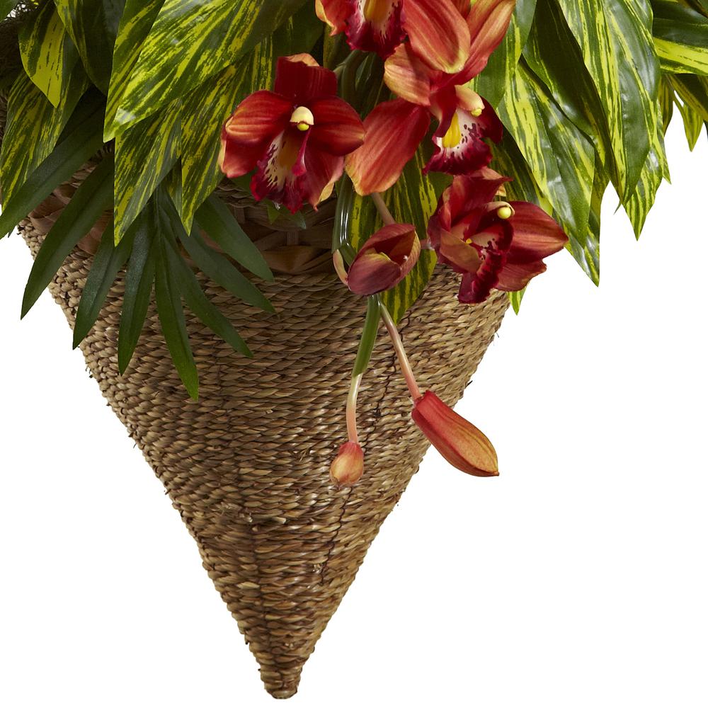 Mixed Tropical & Cymbidium Hanging Basket. Picture 2