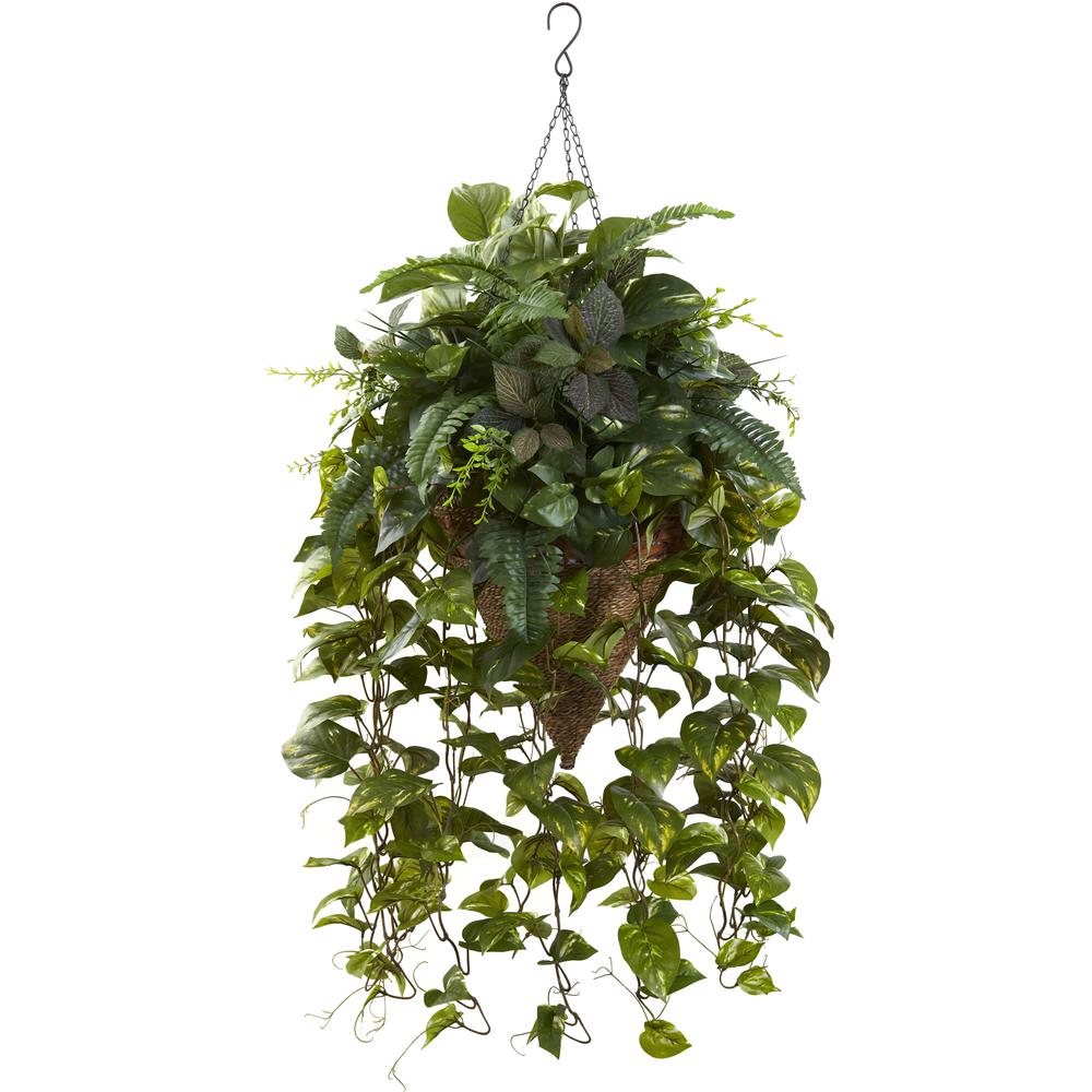 Vining Mixed Greens with Cone Hanging Basket. Picture 1