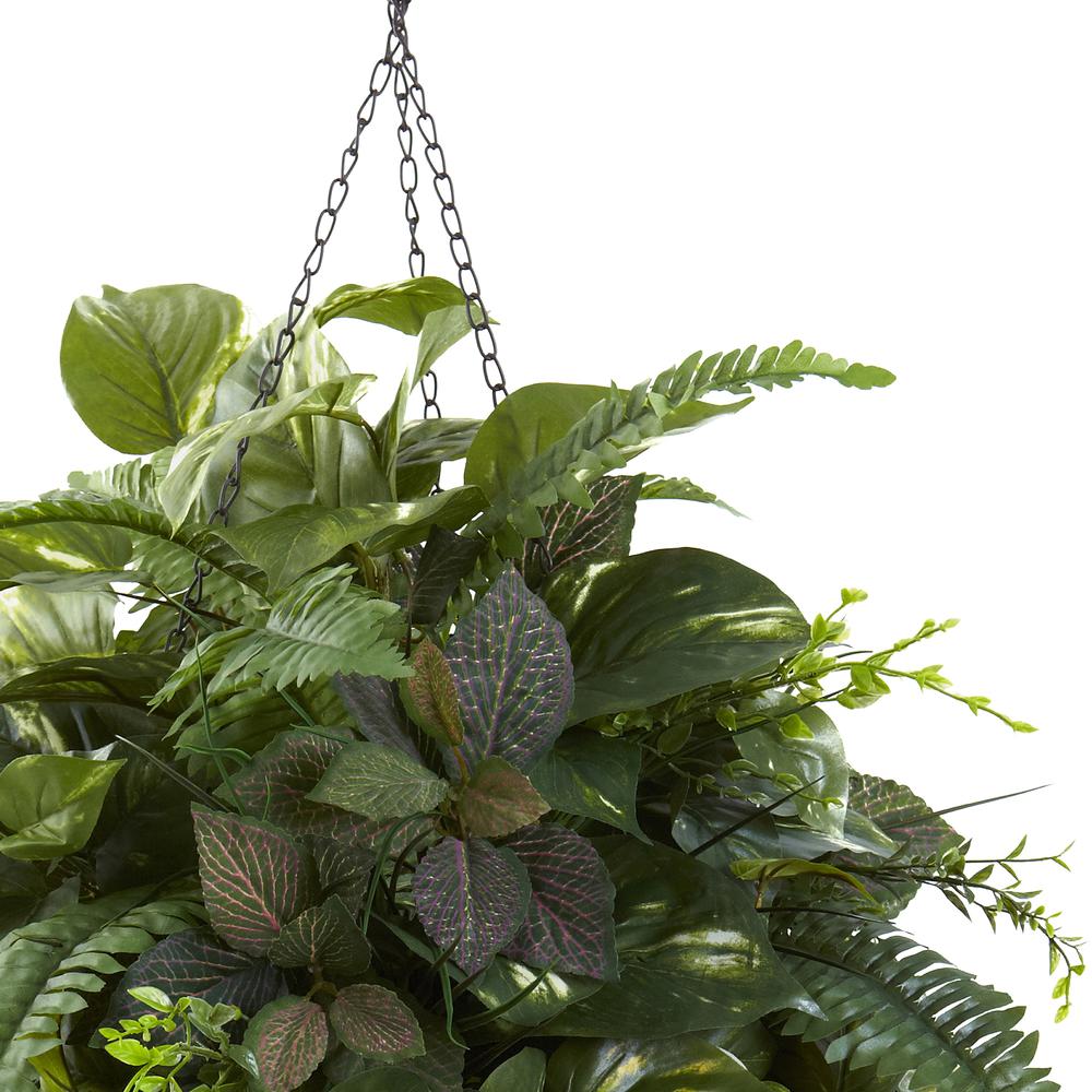 Vining Mixed Greens with Cone Hanging Basket. Picture 5