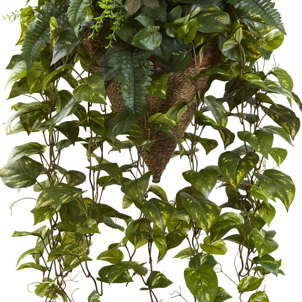 Vining Mixed Greens with Cone Hanging Basket. Picture 6