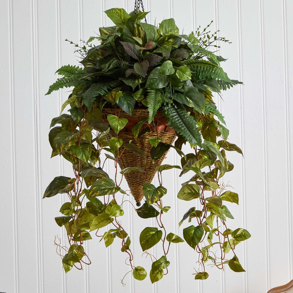 Vining Mixed Greens with Cone Hanging Basket. Picture 4