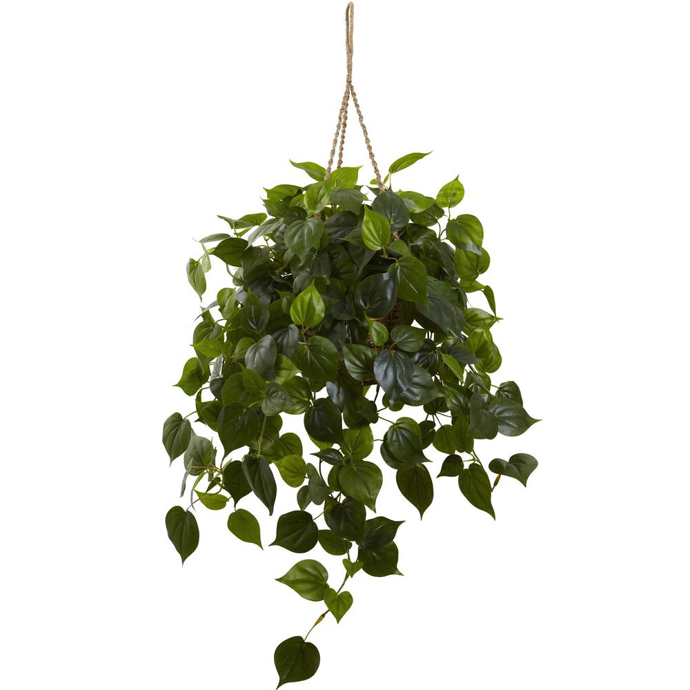 Philodendron Hanging Basket UV Resistant (Indoor/Outdoor). Picture 1