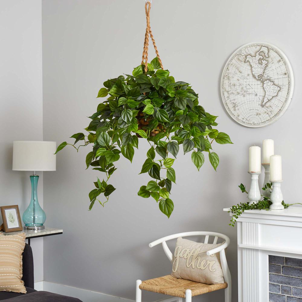 Philodendron Hanging Basket UV Resistant (Indoor/Outdoor). Picture 5