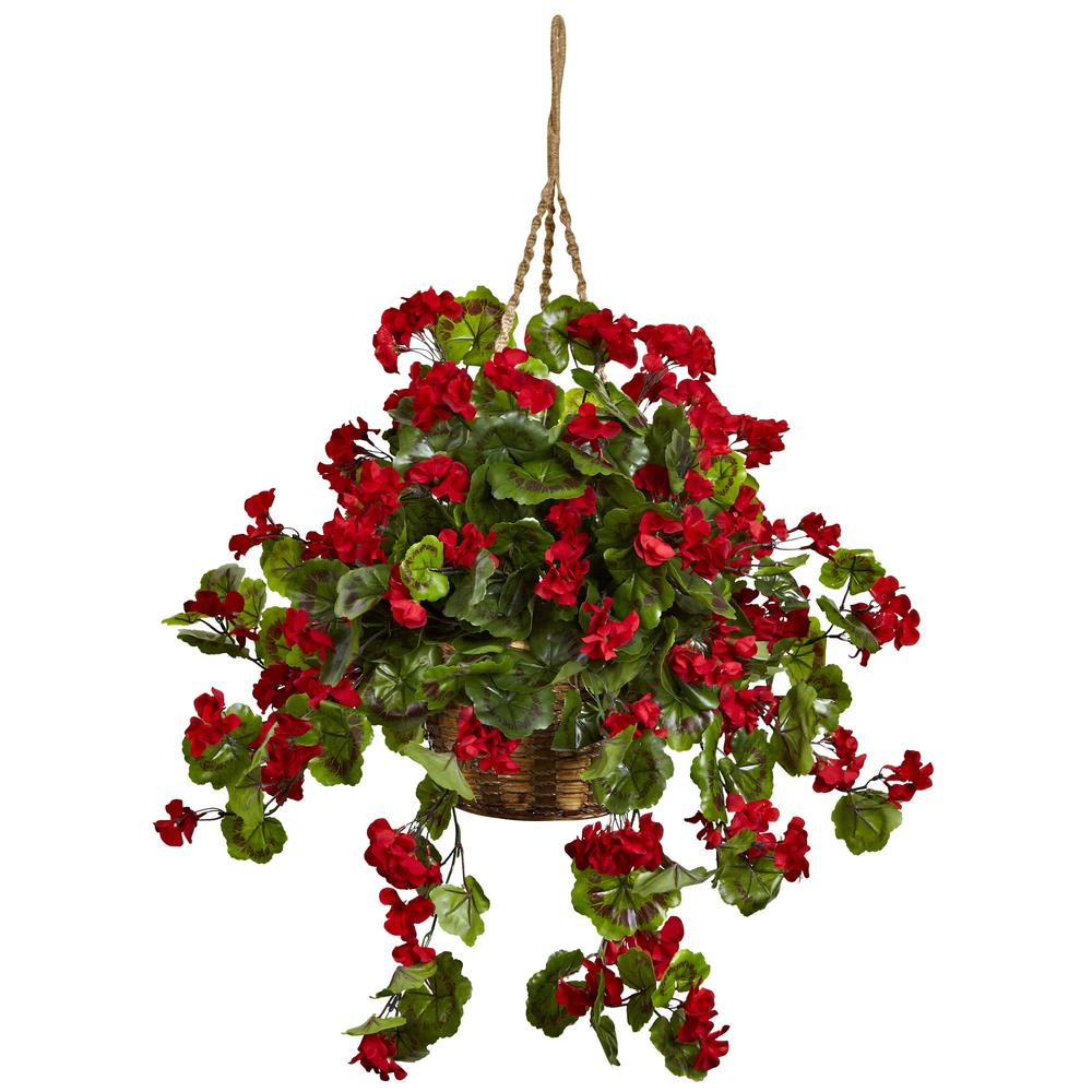 Geranium Hanging Basket UV Resistant (Indoor/Outdoor). Picture 1