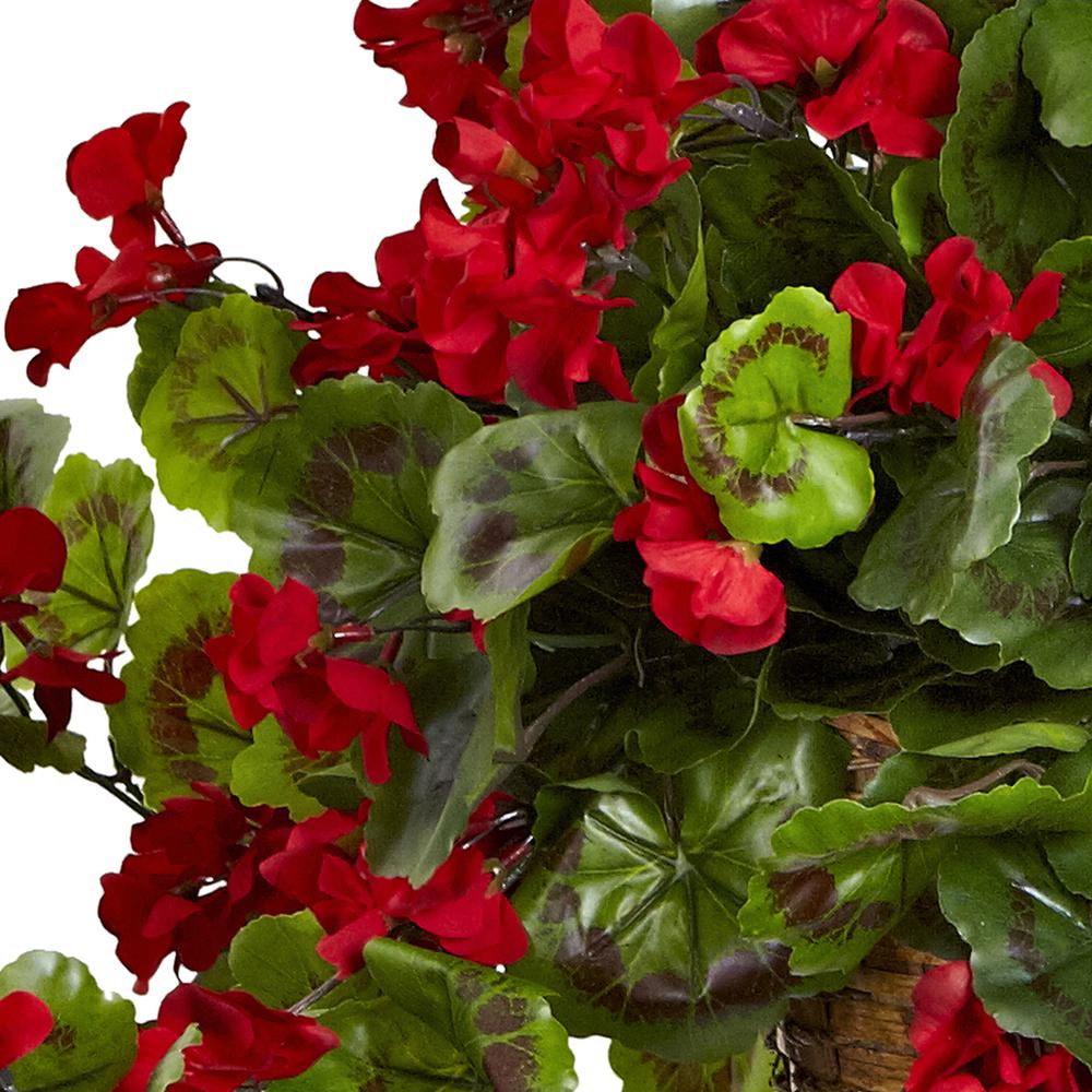 Geranium Hanging Basket UV Resistant (Indoor/Outdoor). Picture 3