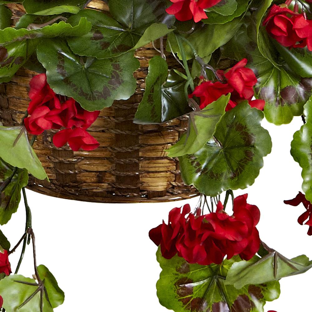 Geranium Hanging Basket UV Resistant (Indoor/Outdoor). Picture 4