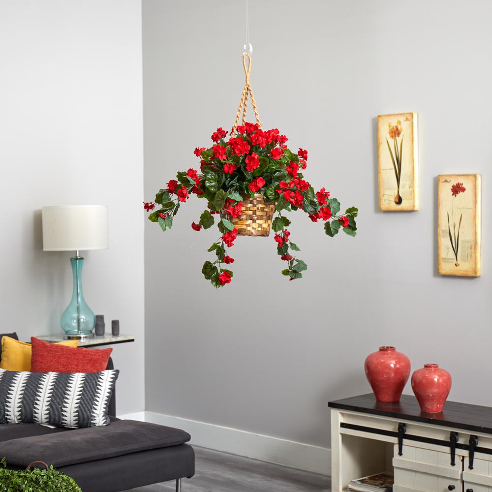 Geranium Hanging Basket UV Resistant (Indoor/Outdoor). Picture 5