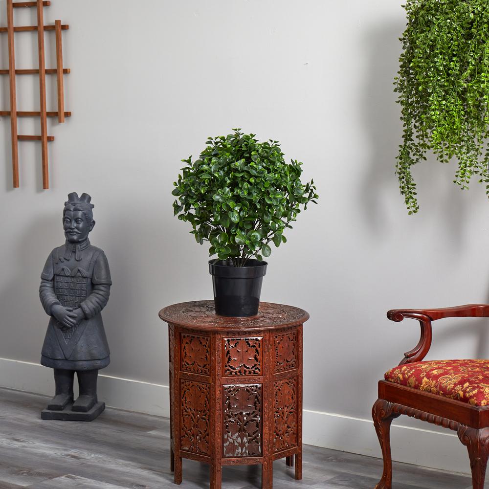 28in. Peperomia Plant UV Resistant (Indoor/Outdoor). Picture 5