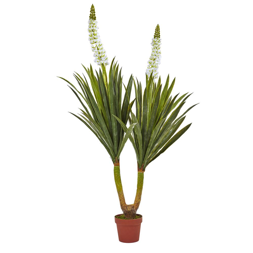 57in. Flowering Yucca Plant. Picture 1