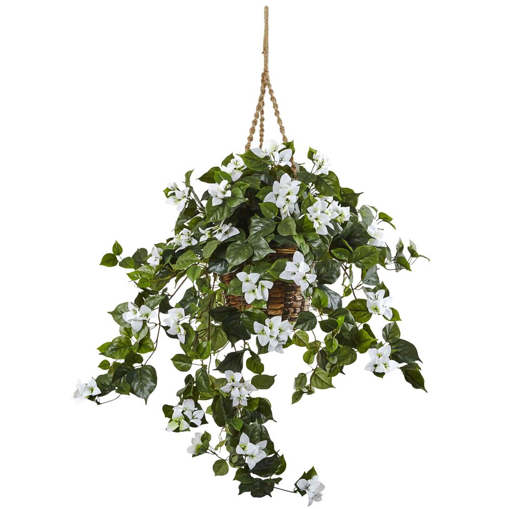 Bougainvillea Hanging Basket. Picture 1