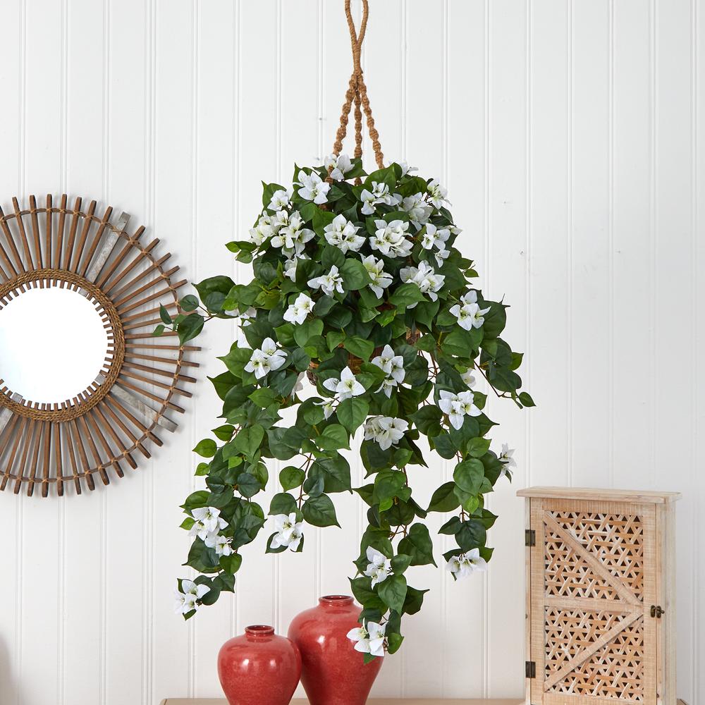 Bougainvillea Hanging Basket. Picture 3