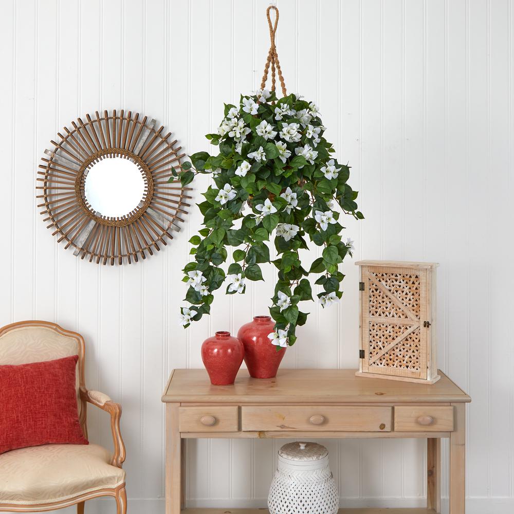 Bougainvillea Hanging Basket. Picture 2