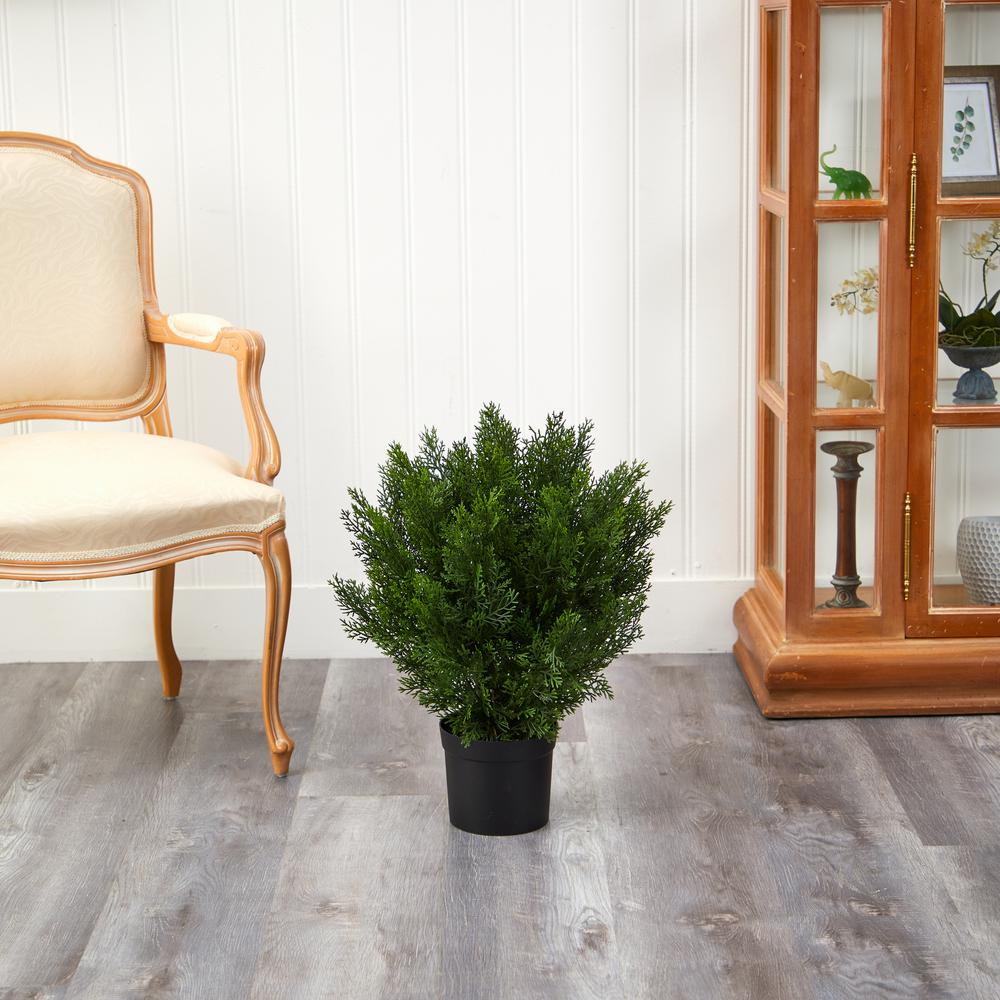 2ft. Cedar Artificial Bush (Indoor/Outdoor). Picture 5