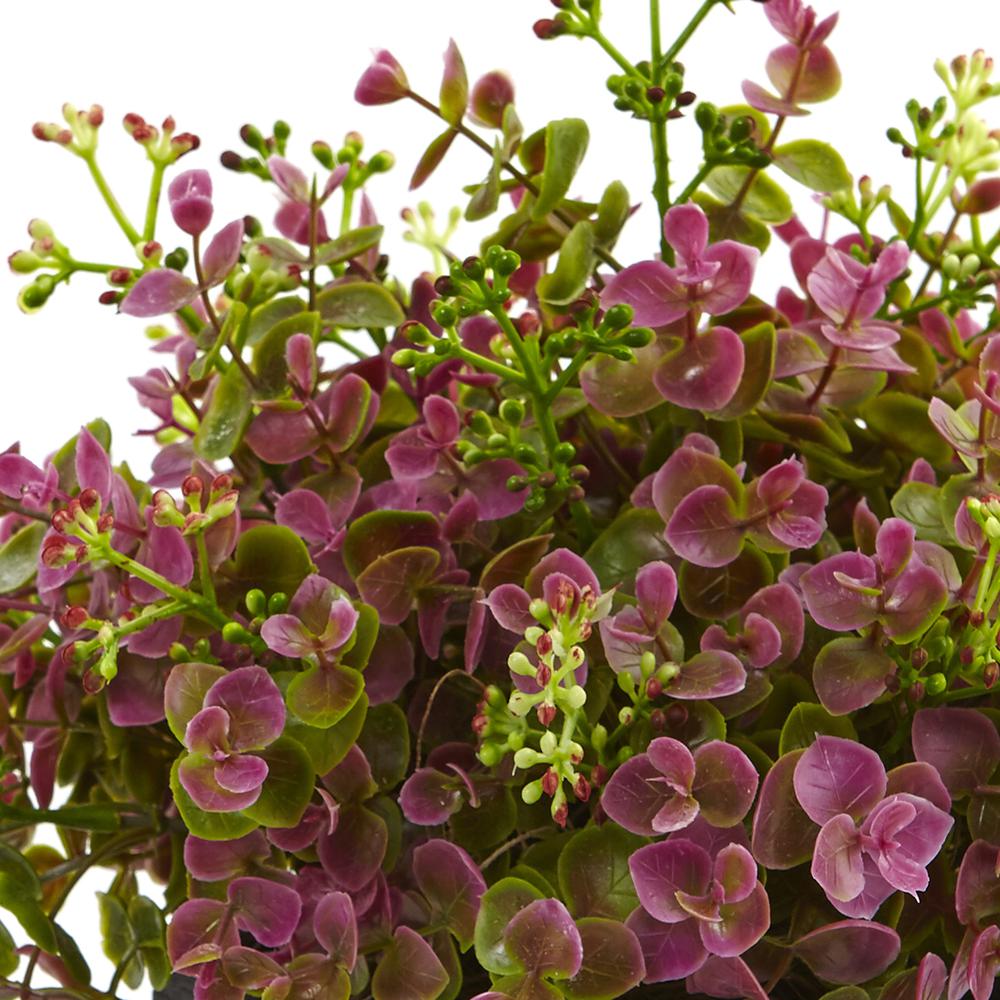13in. Sedum and Eucalyptus Plant with Planter. Picture 4